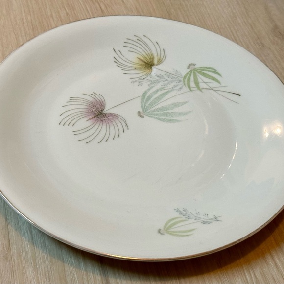 Vintage Bavaria Tirschenreuth Plate – White w/ Floral Design, Silver Rim, Rare - Picture 9 of 16